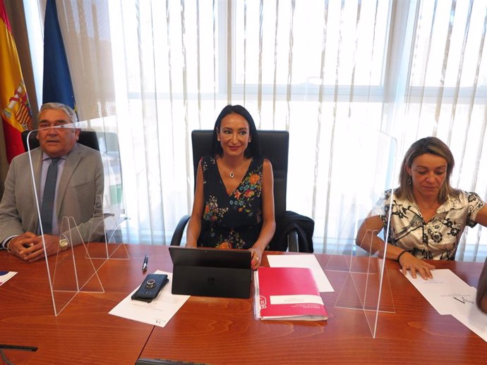 La consejera de Empresa, Empleo, Universidades y Portavocía, Valle Miguélez, en la Comisión Especial de Discapacidad