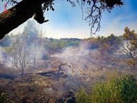 Bomberos trabajan en la extinción de un incendio con cuatro focos entre Segorbe, Jérica y Navajas