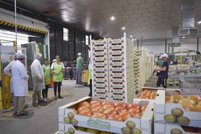 Visita del alcalde de Los Palacios, Juan Manuel Valle, a tres de las principales empresas productoras de tomate del municipio sevillano.