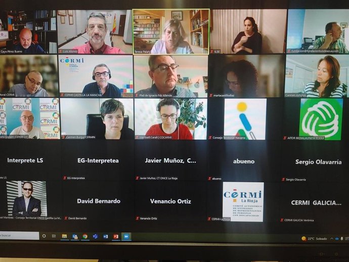 Reunión Cermi territorios.