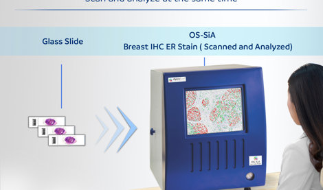Comunicados Internacional