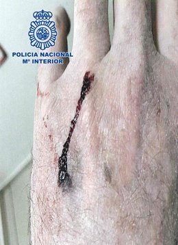 Vídeo de la noticia