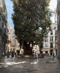 Activan la contratación de la obra para la renovación urbana de las plazas de San Pedro Alcántara y del Teatro de Málaga