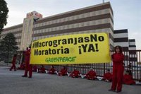 Greenpeace bloquea la entrada a la fábrica El Pozo en Alhama de Murcia (Murcia) en protesta contra las 'macrogranjas'