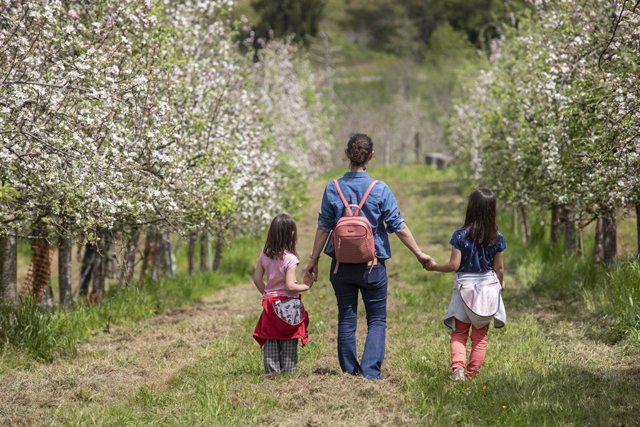 Varias personas visitan una pomarada para ver manzanos en flor, en Ceceda, a 30 de abril de 2022, en Nava, Asturias, (España).  
