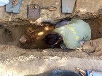 El Govern localiza los restos de dos víctimas en la exhumación del cementerio de Selva