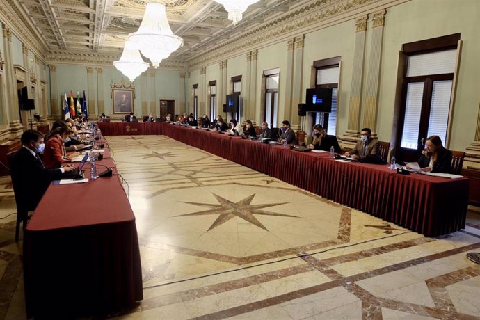 Huelva.- El Pleno compromete el apoyo del Ayuntamiento de Huelva a los afectados por fibromialgia