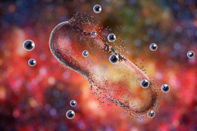 Imagen de recurso de una bacteria.