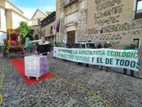 Un centenar de agricultores escenifican un viacrucis en Toledo para denunciar el desvío de fondos del PDR a Geacam
