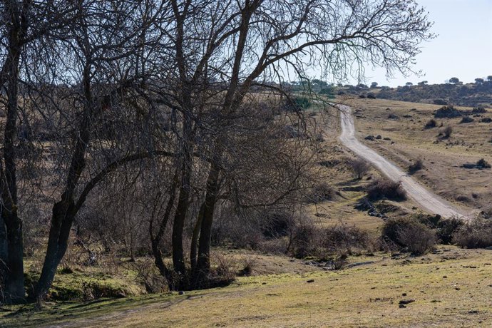 Archivo - Vista de un sendero en la ruta de la Dehesa de Navalvillar, a 10 de febrero de 2022, en Colmenar Viejo, Madrid (España). La Dehesa de Navalvillar es un entorno natural ubicado en Colmenar Viejo y perteneciente al Parque Regional de la Cuenca A