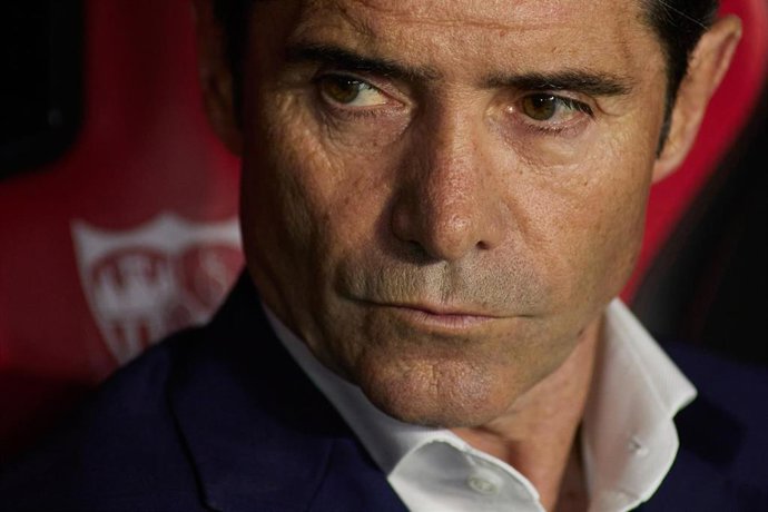 Marcelino Garcia Toral 