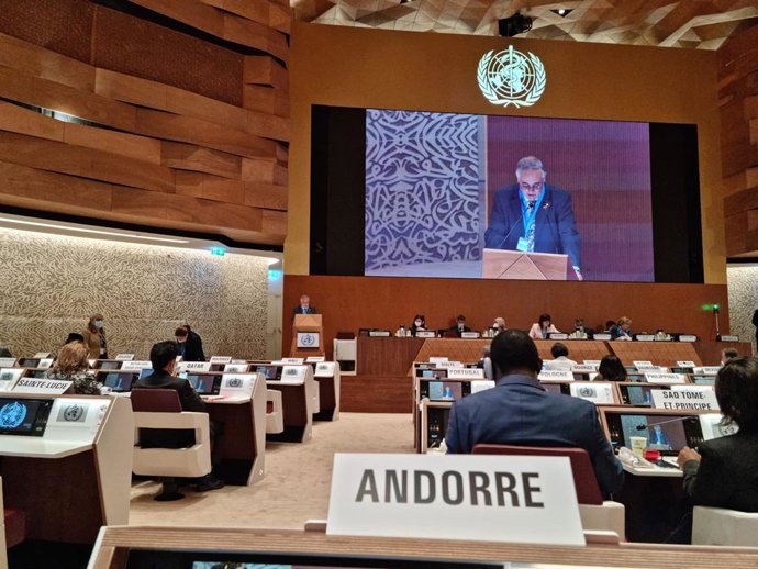 El ministre andorr de Salut, Albert Font, en la 75a Assemblea de l'OMS