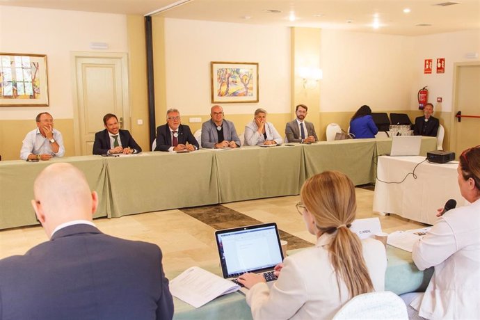 El presidente de Canarias, Ángel Víctor Torres, preside una reunión de trabajo con eurodiputados y eurodiputadas integrantes de la Comisión de Desarrollo Regional del Parlamento Europeo