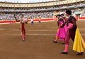 La Feria de Santiago ofrecerá cinco corridas de toros, una de rejones y una novillada del 23 al 29 de julio