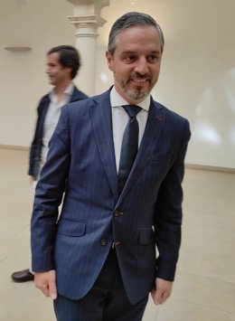 El consejero de Hacienda y Financiación Europea de la Junta de Andalucía y candidato del PP al Parlamento andaluz, Juan Bravo.