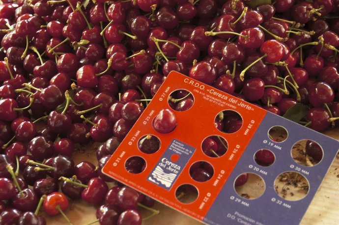 Archivo - Las primeras cerezas certificadas del Jerte llegan al mercado