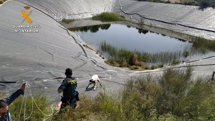 Agentes de la Guardia Civil rescatan a dos perros que se habían caído a un pantano en Totana (Murcia)
