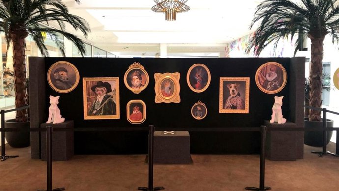 A través de un posado fotográfico se seleccionarán tres modelos caninos que se convertirán en protagonistas de la campaña  'Pet Friendly' del centro comercial.