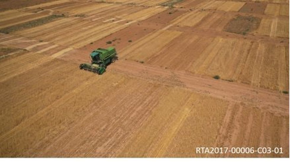 La Misión Biológica de Galicia participa en dos proyectos de investigación europeos sobre suelos agrícolas