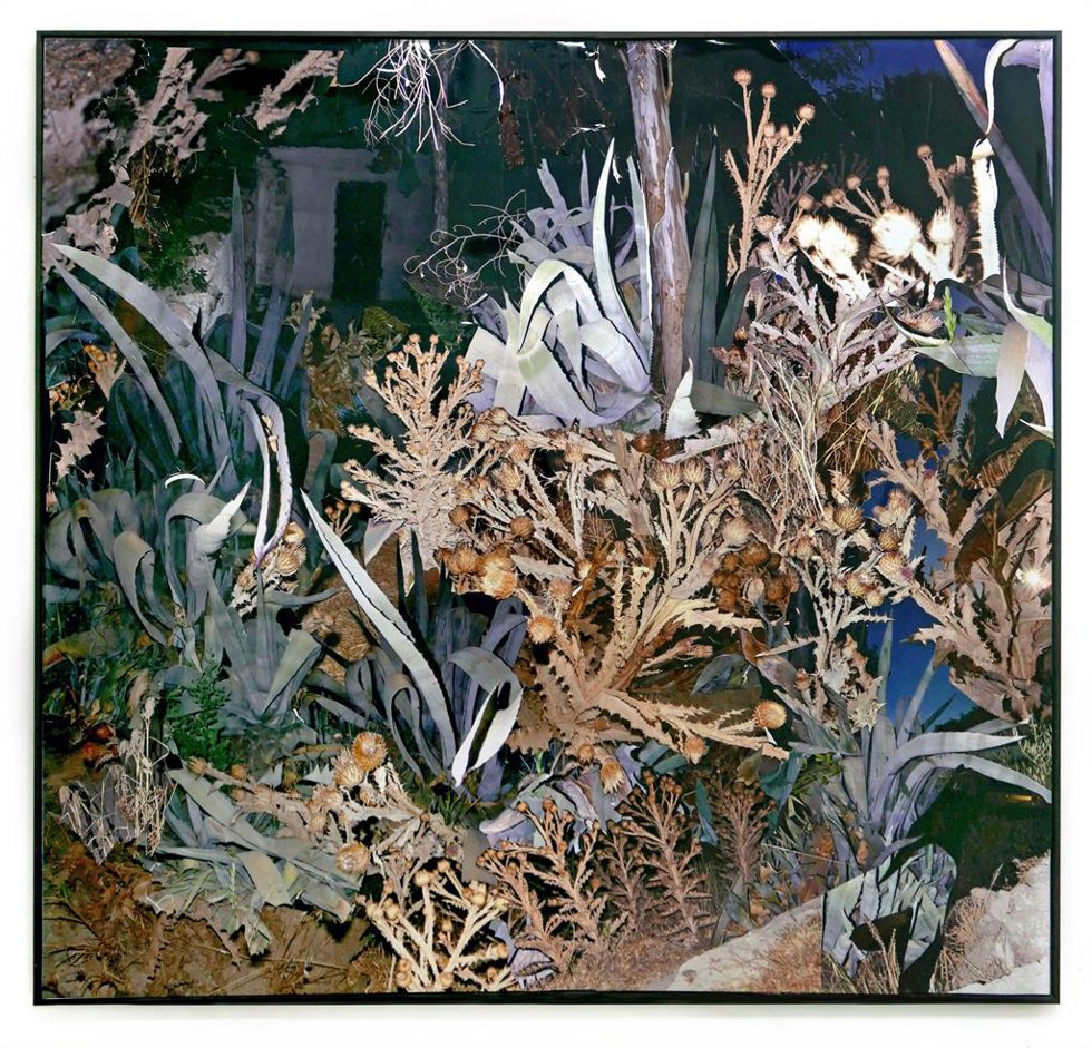 Tierra inculta, de Miguel Ángel Tornero.