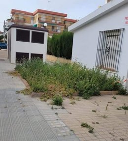 Fotos del "estado" del acerado y calles de Lepe y La Antilla (Huelva)
