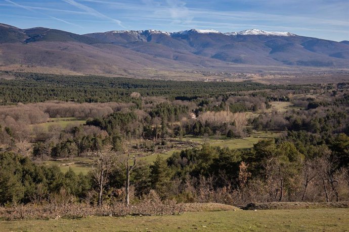 Archivo - Valle del Paular desde el Monumento al Guarda, en el Pinar de los Belgas, a 7 de abril de 2022, en Madrid (España).