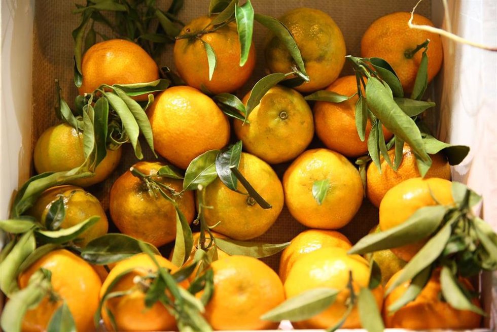 Archivo - Una caja de naranjas