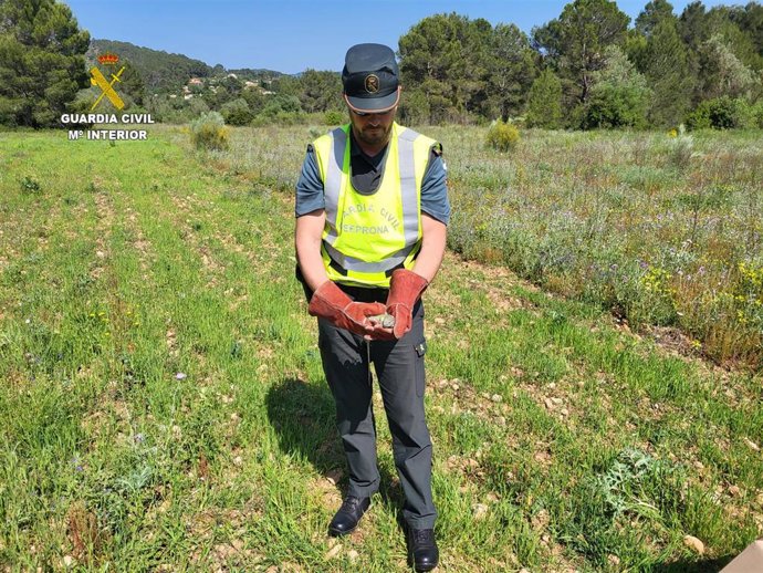 Un agente con el lagarto rescatado