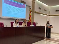 Un estudio señala que las leyes de violencia machista no son "suficientes" para proteger a menores