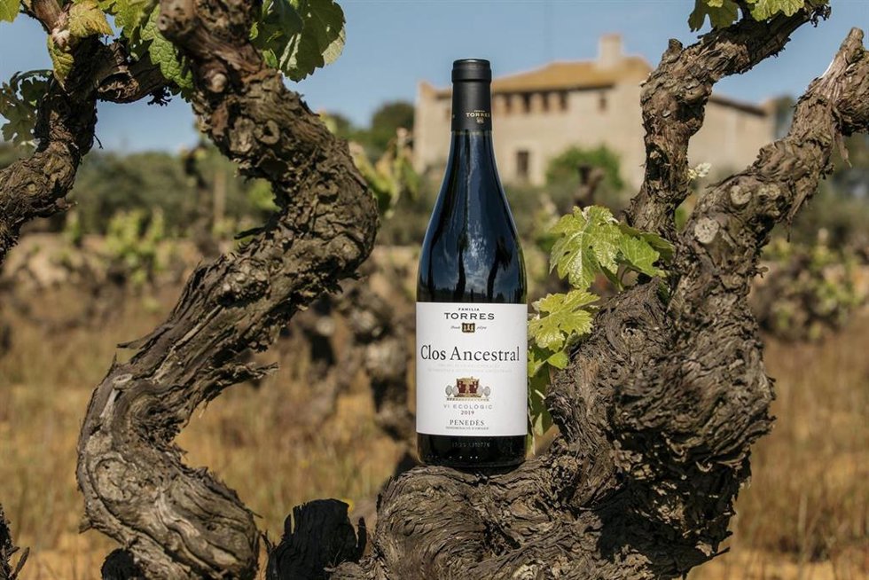 Archivo - Vino Clos Ancestral 2020 de Familia Torres, ganador del International Wine Challenge 2022