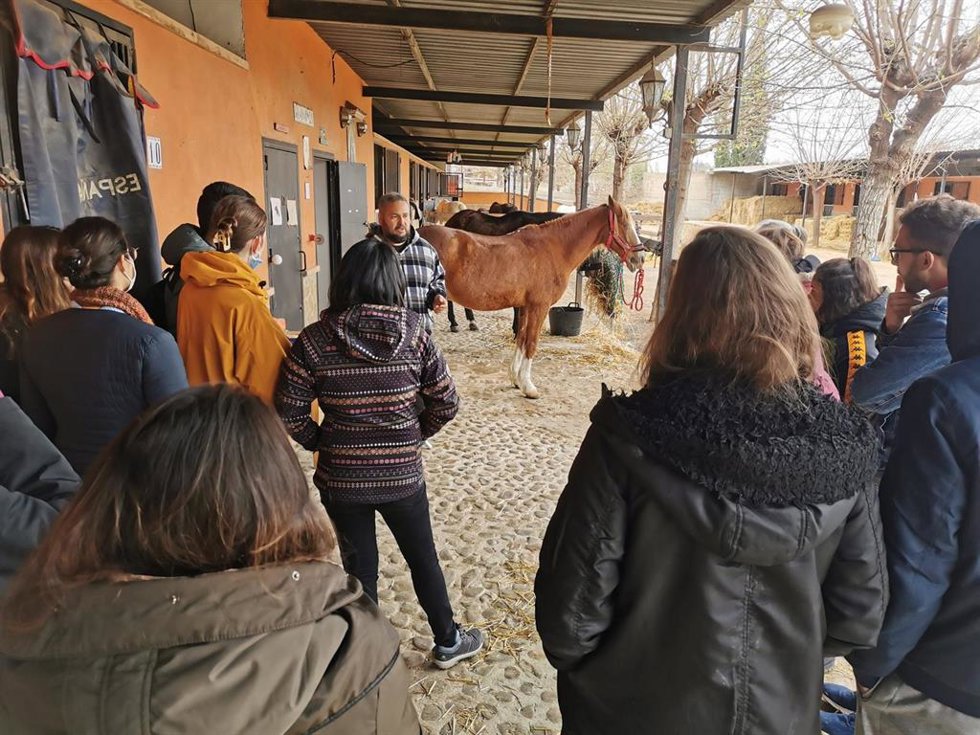 Alumnado del Máster de Intervención Asistida con Animales