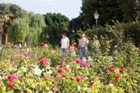 Recogen firmas para que se prohíba fumar en espacios emblemáticos como los Jardines de Viveros de València