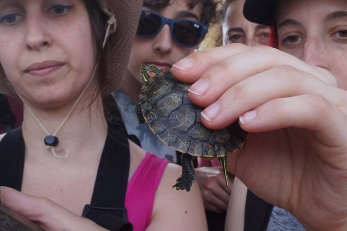 Jóvenes con una tortuga