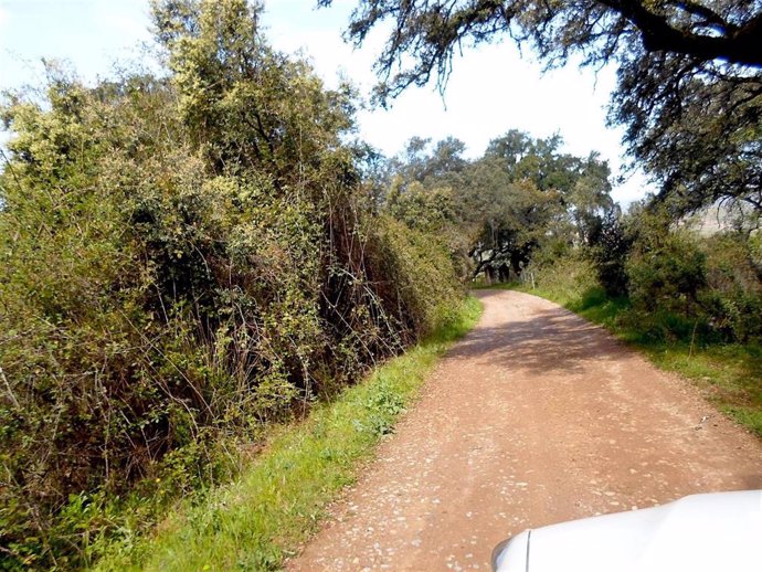 Archivo - Un camino rural en Higuera de la Sierra en una imagen de archivo.