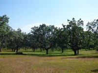 Castilla y León registró en marzo el mayor número de operaciones de compraventa de fincas rústicas, un total de 2.637