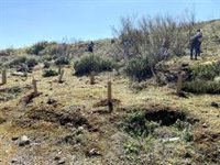 Vecinos de Alameda participan en la plantación de árboles dentro de un programa de la Diputación de Málaga