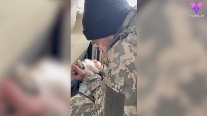 Un militar ucraniano rescata a un gato abandonado durante la guerra
