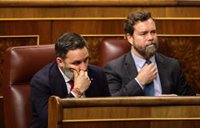 Vox pregunta al Gobierno qué va a hacer para asegurar un 25% de castellano en los colegios de Cataluña