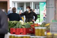 Ecologistas vascos valoran que la UE impulse la agricultura ecológica pero piden "ir más allá"