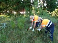 El PP urge al Gobierno a resolver el Programa de Corporaciones Locales para contratar parados
