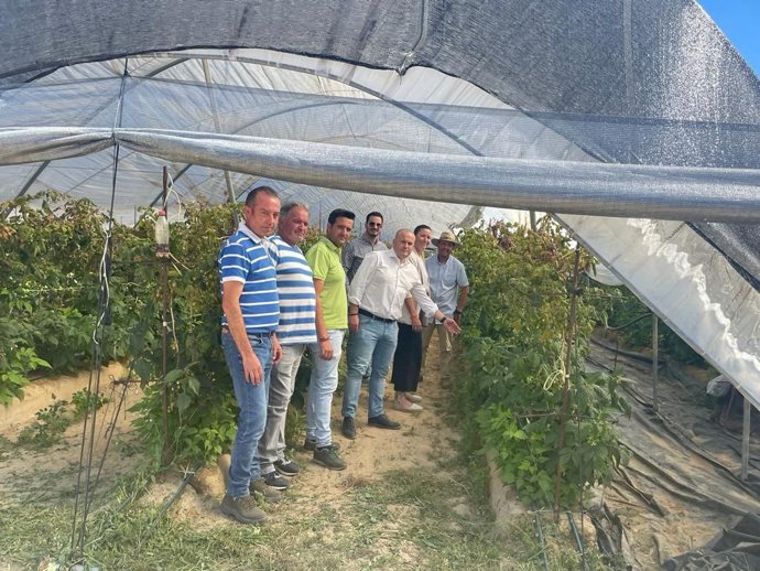 Julio Díaz, cabeza de lista de Cs por Huelva al 19 de junio, con los números 2 y 9, Pilar Lucio y Rubén Molina, en la visita a una finca de frutos rojos del Condado con Romualdo Macías, presidente de la Plataforma de Regantes del Condado.