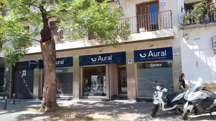Árbol siniestrado en la plaza de la Gavidia.