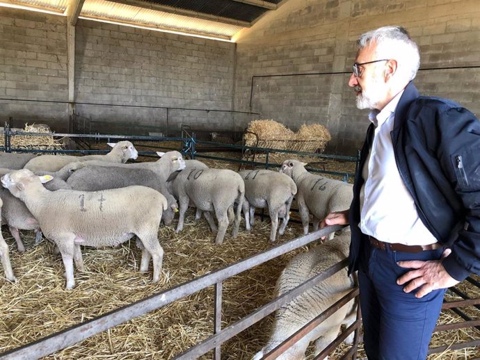 La Diputación de Huelva, a través del Servicio de Innovación Agrícola y Ganadera, ha hecho entrega de 117 ejemplares de reproductor de ganado porcino y 21 ejempares de ganado ovino durante un acto celebrado en la finca 'Huerto Ramírez'