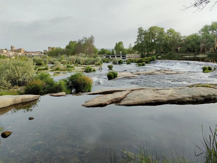 Río Tormes a su paso por la localidad de Puente del Congosto (Salamanca).