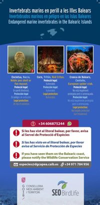 Medio Ambiente pide colaboración ciudadana para detectar invertebrados marinos en peligro