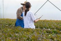 La CARM distribuye casi 3,4 millones de euros para acciones de asesoramiento a explotaciones agrarias