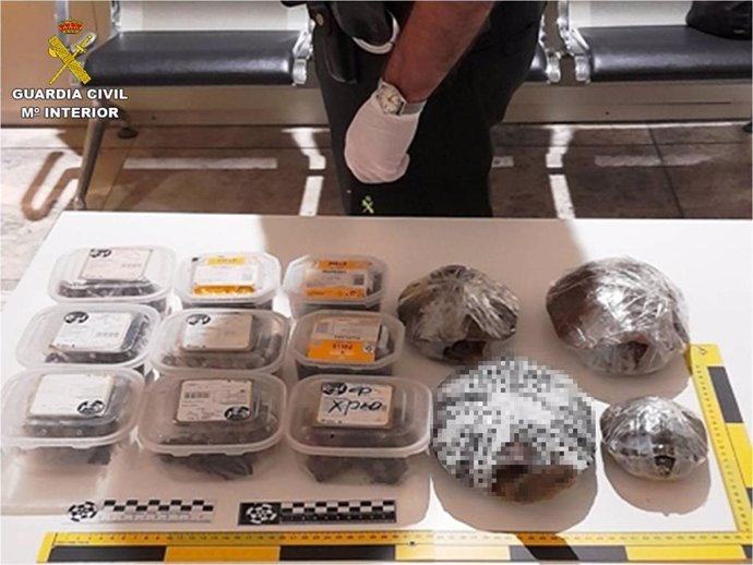 La Guardia Civil rescata 46 tortugas y cangrejos vivos que un pasajero llevaba envueltos en plástico dentro del equipaje de mano