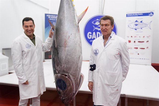 El presidente de la Junta de Andalucía y candidato a la reelección por el PP-A, Juanma Moreno, y el presidente del PP, Alberto Núñez Feijóo, este sábado en Barbate (Cádiz)