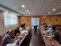 El BNG pide en el Congreso que no se elimine la participación ciudadana en las autorizaciones de parques eólicos