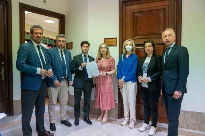 Deputados do PP rexistran no Congreso unha pregunta ao Goberno sobre se prevé indultar ao exfuncionario por 'enchufar' á cuñada da presidenta da Deputación de Pontevedra, Carmela Silva.